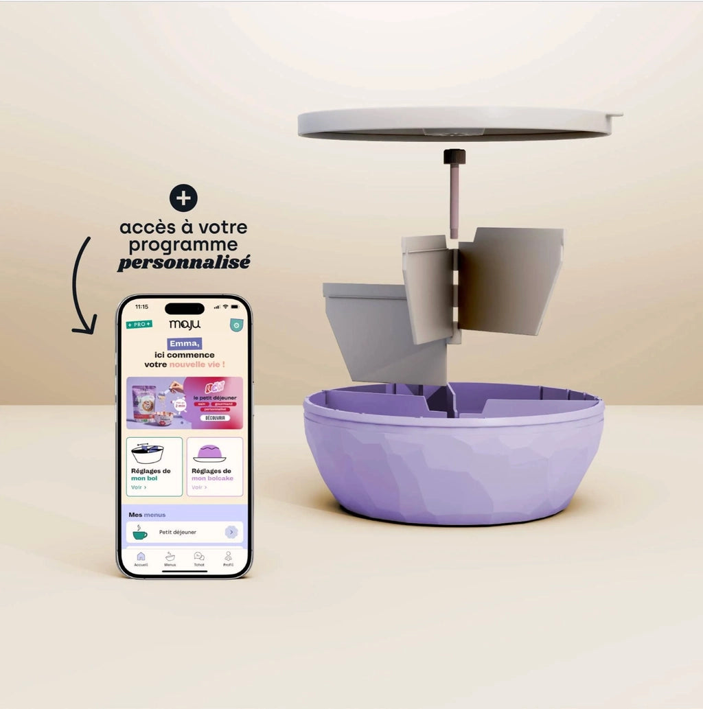 BOL Maju + bilan + application gratuite recettes