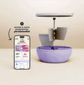 BOL Maju + bilan + application gratuite recettes